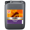 ISO 100 HUILE D'ENGRENAGE SYNTHETIQUE STEELO S (20L)